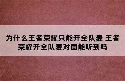 为什么王者荣耀只能开全队麦 王者荣耀开全队麦对面能听到吗